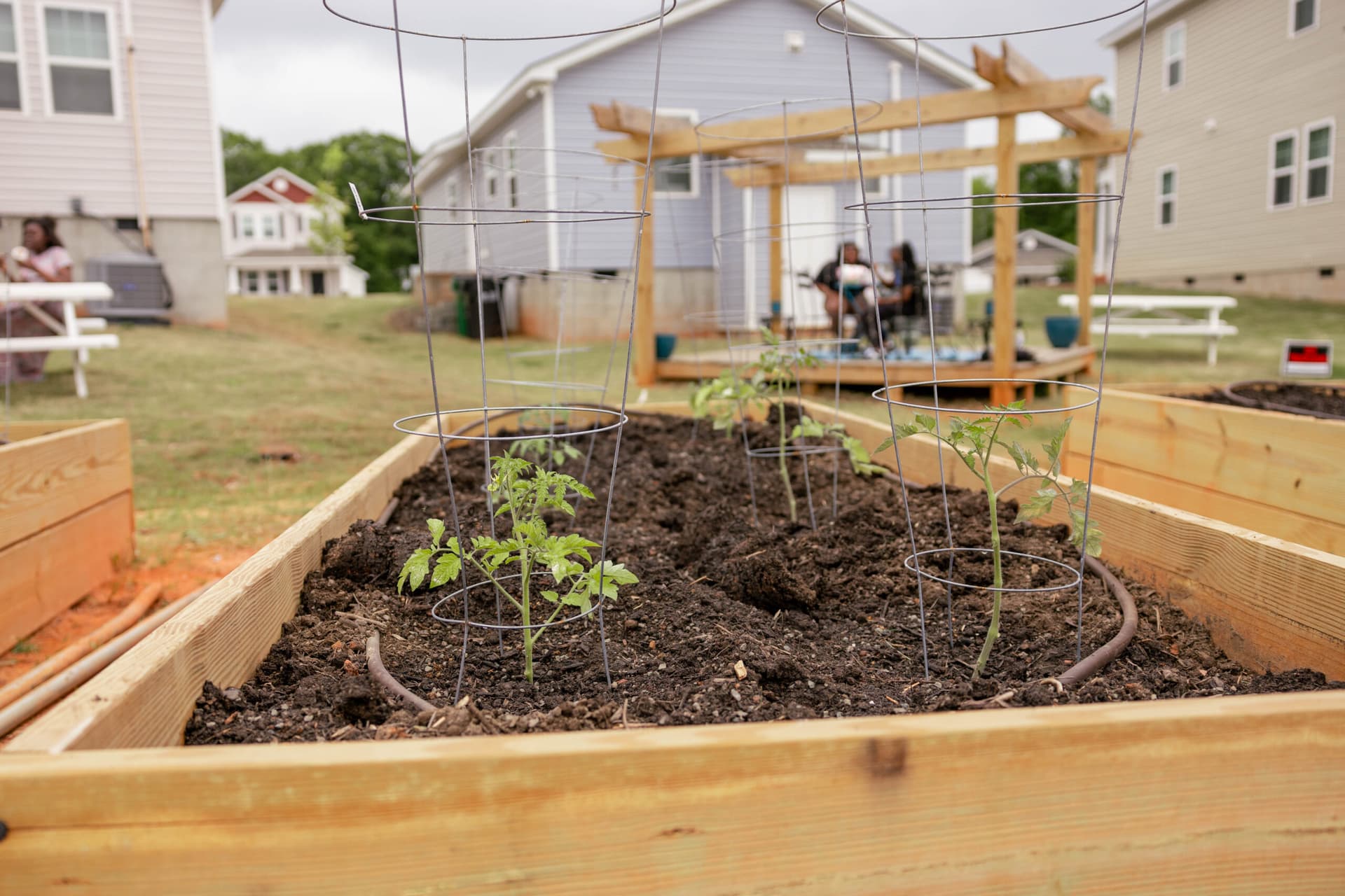 Meadows at Plato Price community garden