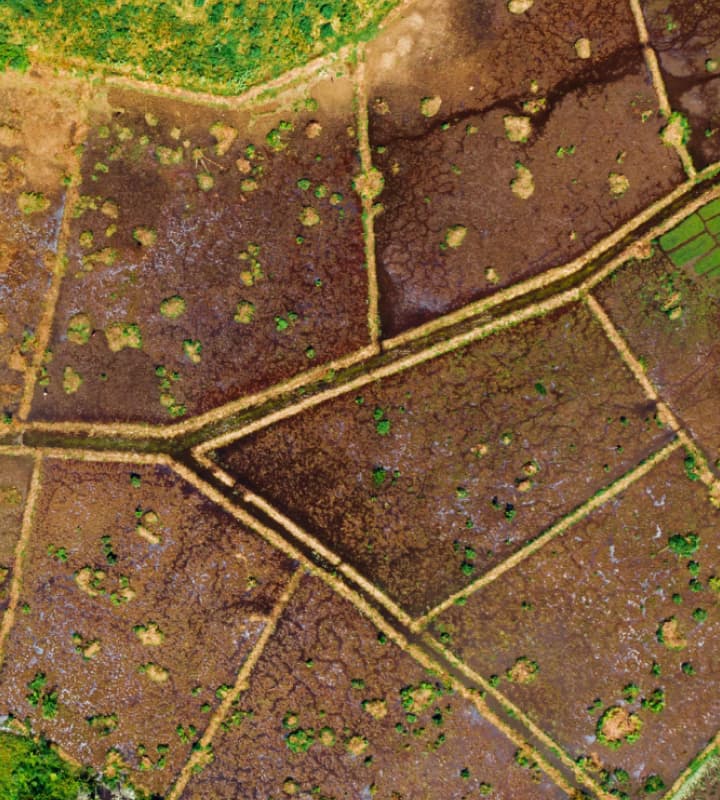 Reasons Why You Should Consider Donating Land to Charity as an Alternate Way of Giving Back