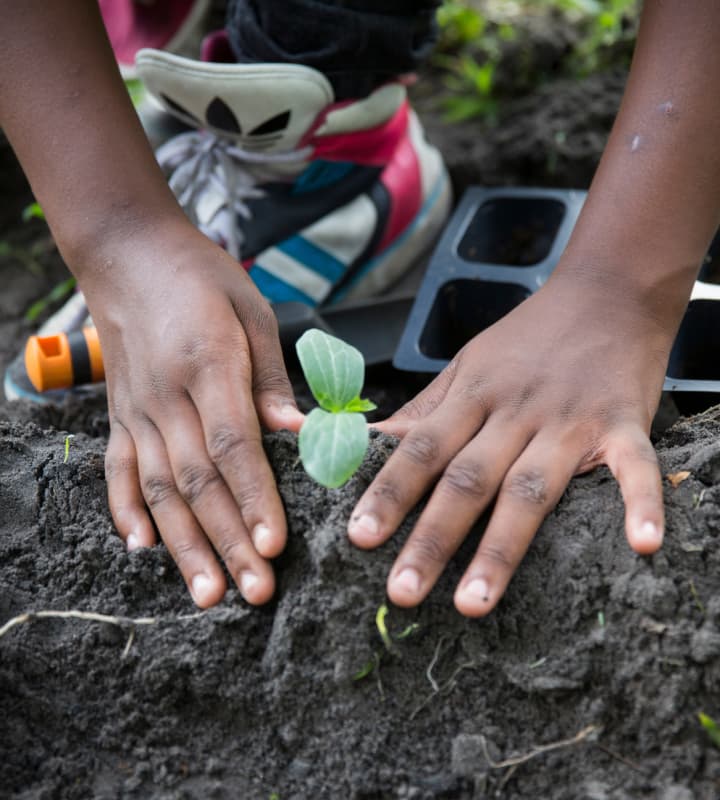 The Impact of Affordable Housing on Community Development
