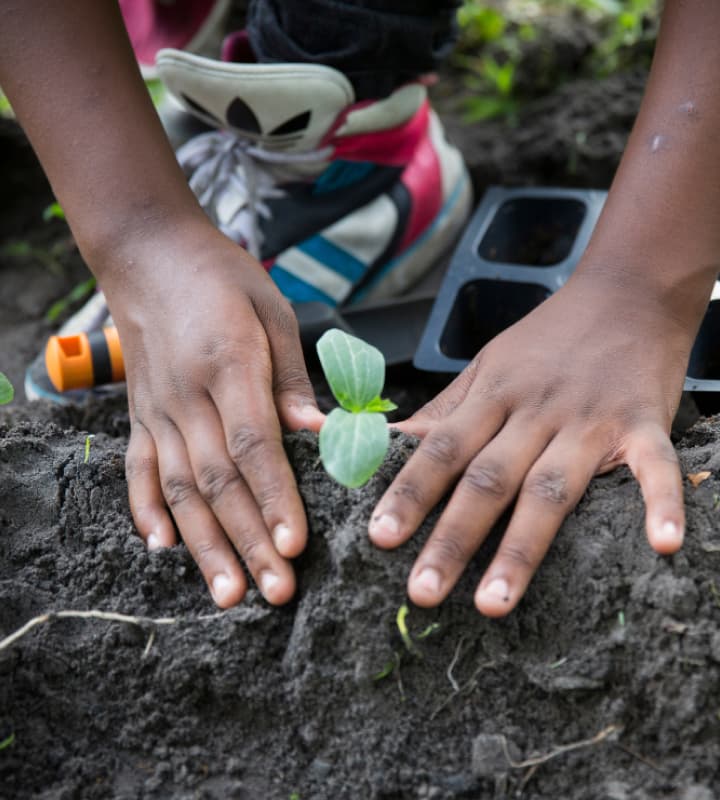 Ways To Make a Difference in the World